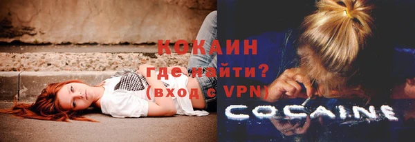 spice Алзамай