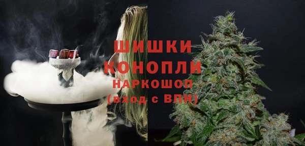 spice Алзамай