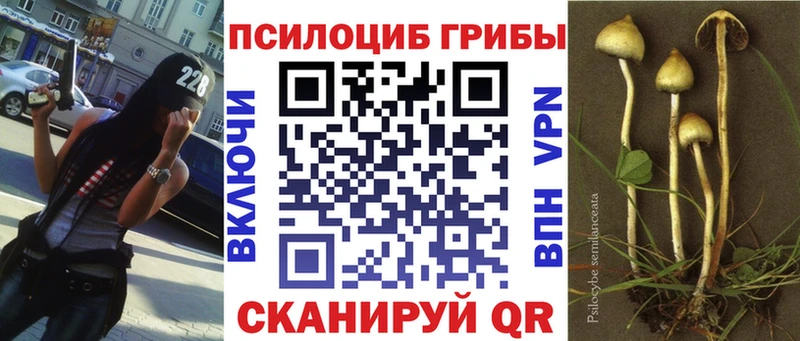 Купить  Борисоглебск  Псилоцибиновые грибы мухоморы 