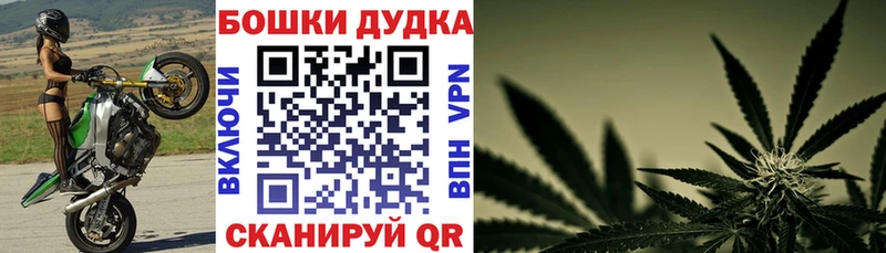 Канабис план  Купить  Борисоглебск 